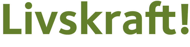 3P højskolen Livskraft